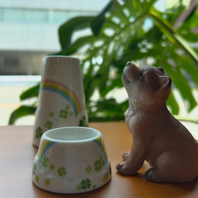 かわいいペット用仏具の入荷です🌈

餌入れの形した陶器に🍀クローバーと🌈虹が描かれています

お花とお線香、ローソン
ごはんとお水があげれます❤️

#ぶつだん高橋#モダン仏壇サロンカラヴィンカ#祈りのカタチ#供養#ペット仏具#ペット供養#犬#猫#うさぎ#虹の架け橋#和泉市#南大阪#Buddha#buddhist